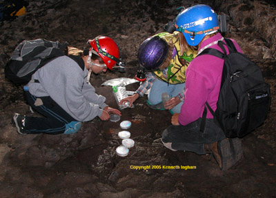 Amanda, Vickie, and Diana inoculate petri dishes with bacteria in Four Windows Cave.
