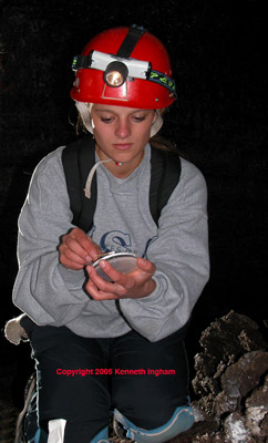 Amanda inoculates a petri dish with bacteria in Four Windows Cave.
