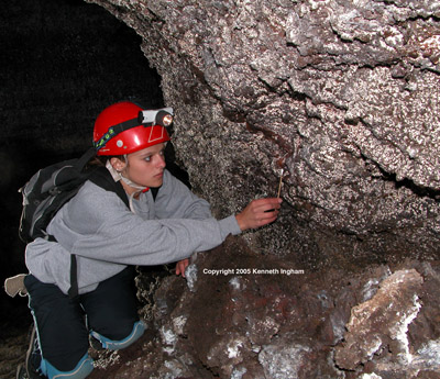 Amanda collects bacteria on a sterile swab from the walls of Four Windows Cave.
