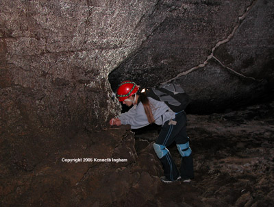 Amanda collects bacteria on a sterile swab from the walls of Four Windows Cave.
