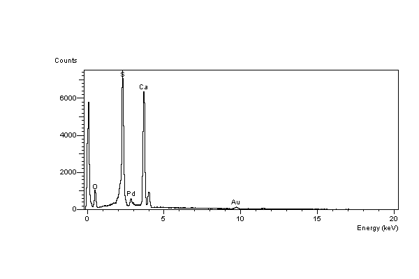 EDS spectrum