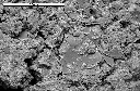 SEM image