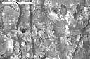 SEM image