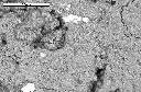 SEM image