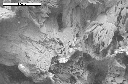 SEM image