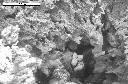 SEM image