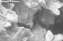 SEM image