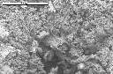 SEM image