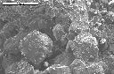 SEM image