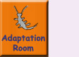 Go to the Adaptation Room