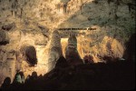 Picture of the Big Room in Carlsbad Cavern