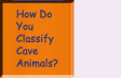 Go to How Do You Classify Cave Animals?