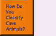 Go to How Do You Classify Cave Animals?