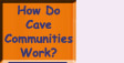 Go to How Do Cave Communites Work?