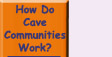 Go to What Are Cave Communities?