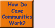 Go to How Do Cave Communities Work?