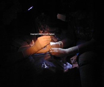 Hands Studying Samples in Spider Cave