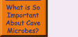Go to What Is So Important About Cave Microbes?