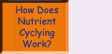 Go to How Does Nutrient Cycling Work?