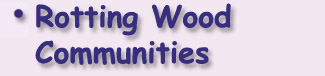 Rotting Wood Communities