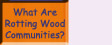 Go to What Are Rotting Wood Communities?