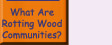 Go to What Are Rotting Wood Communities?