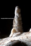 Stalagmite surrounded by flowstone in Lower Cave, Carlsbad Cavern.