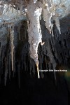 Stalagtite with Soda Straw in Hidden Cave.