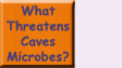Go to What Threatens Cave Microbes