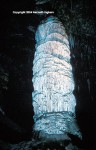 Stalagmite in the Hall of the White Giant--Carlsbad Cavern 